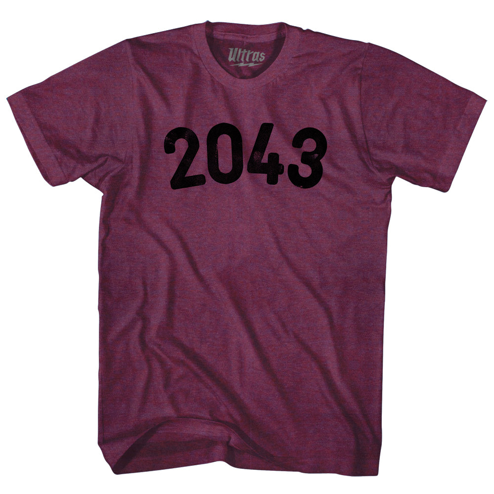 2043 Year Celebration Adult Tri-Blend T-shirt Style003