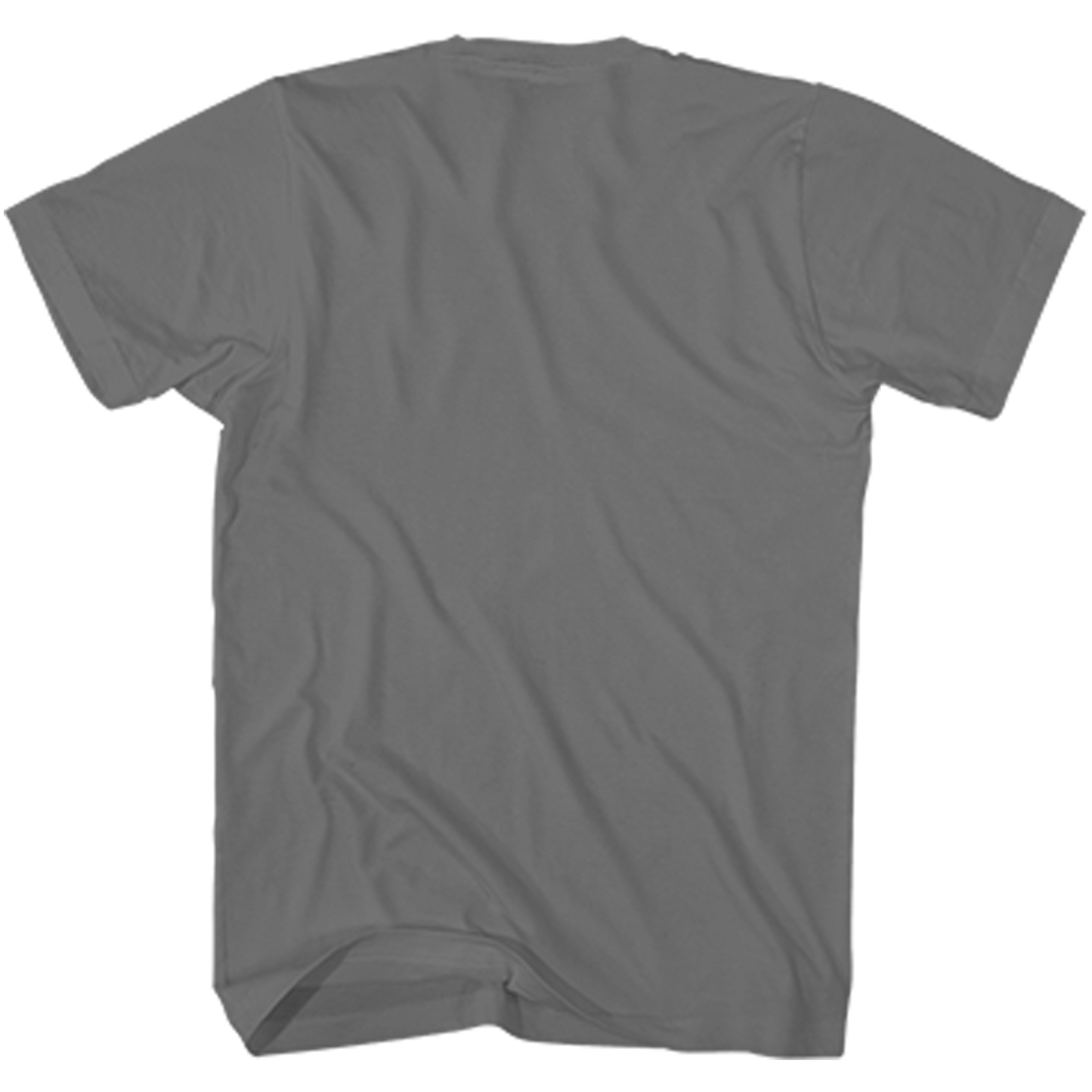 POST MALONE GRAY PHOTO F/SL T-SHIRT