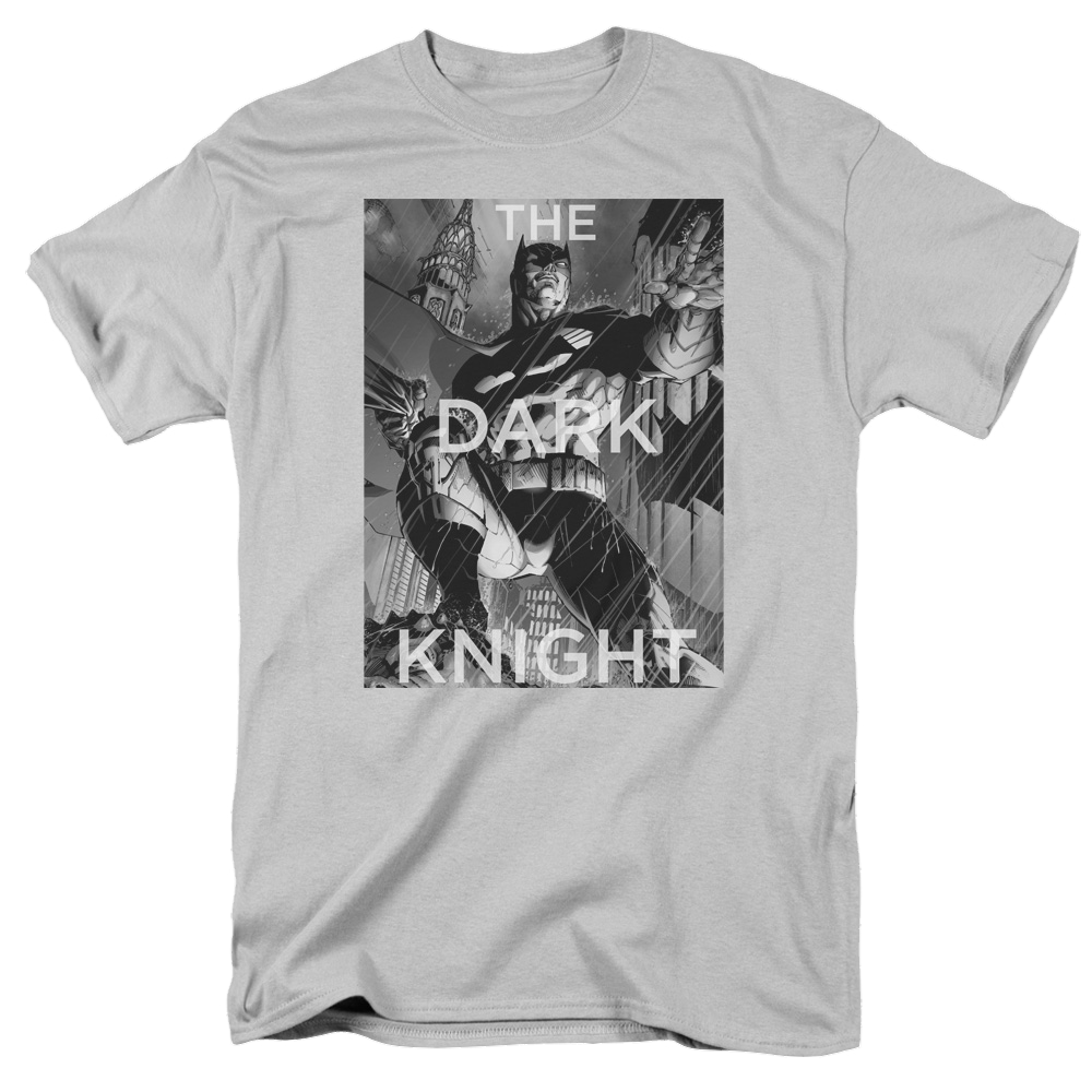 Dc Batman Fighting The Storm - Men's Regular Fit T-Shirt
