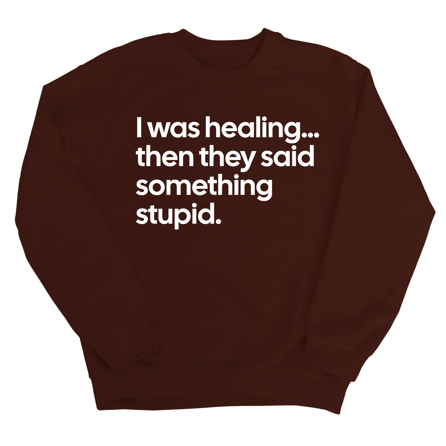 I Was Healing. Then They Said Something Stupid Unisex Sweatshirt