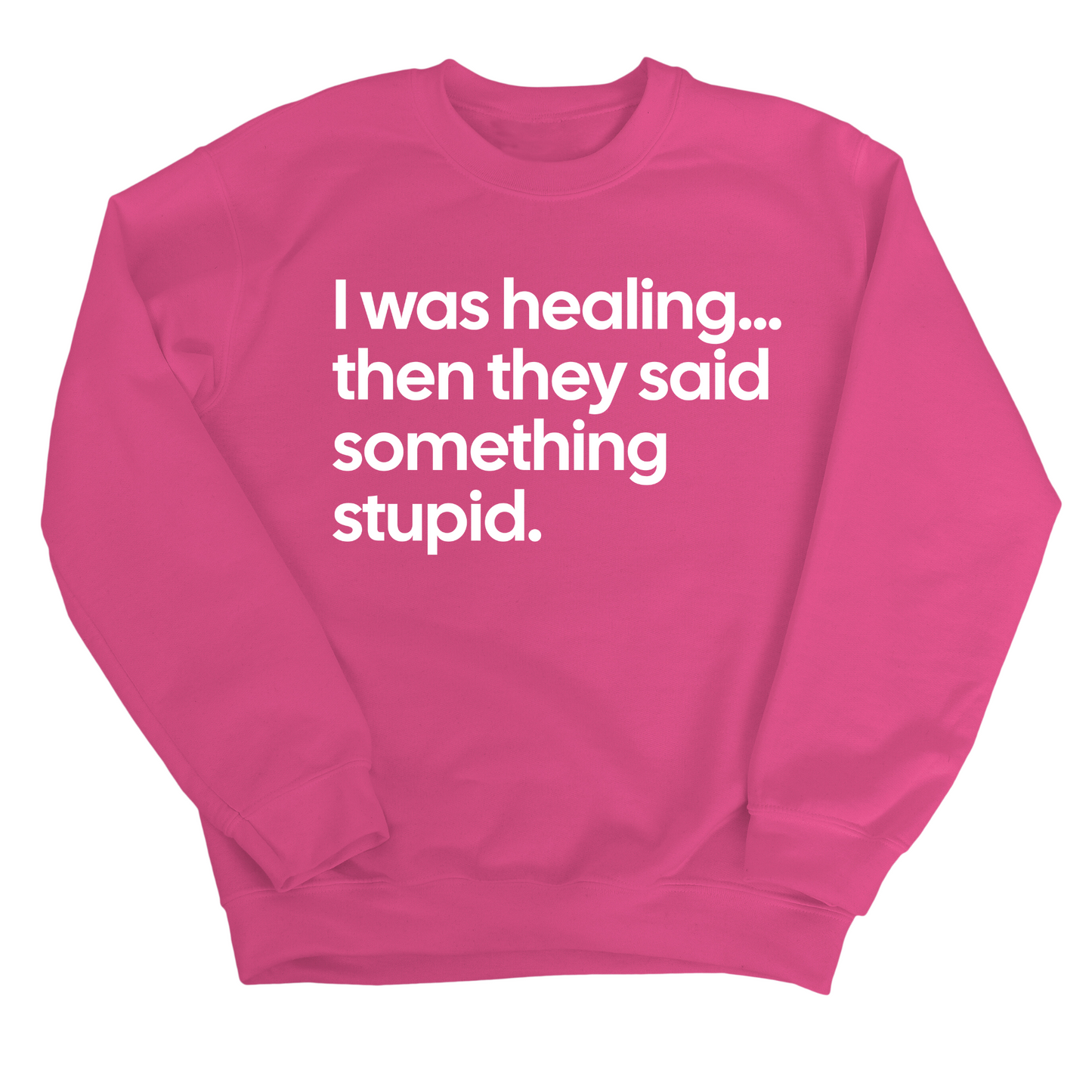 I Was Healing. Then They Said Something Stupid Unisex Sweatshirt