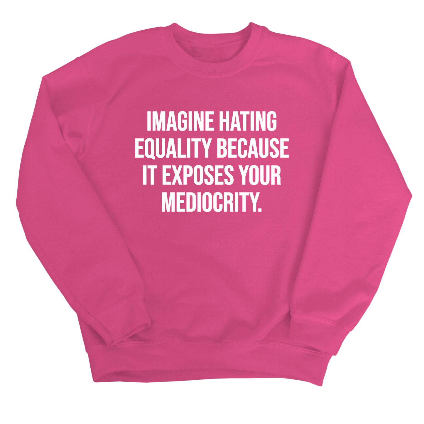Imagine Hating Equality Because It Exposes Your Mediocrity Unisex Sweatshirt