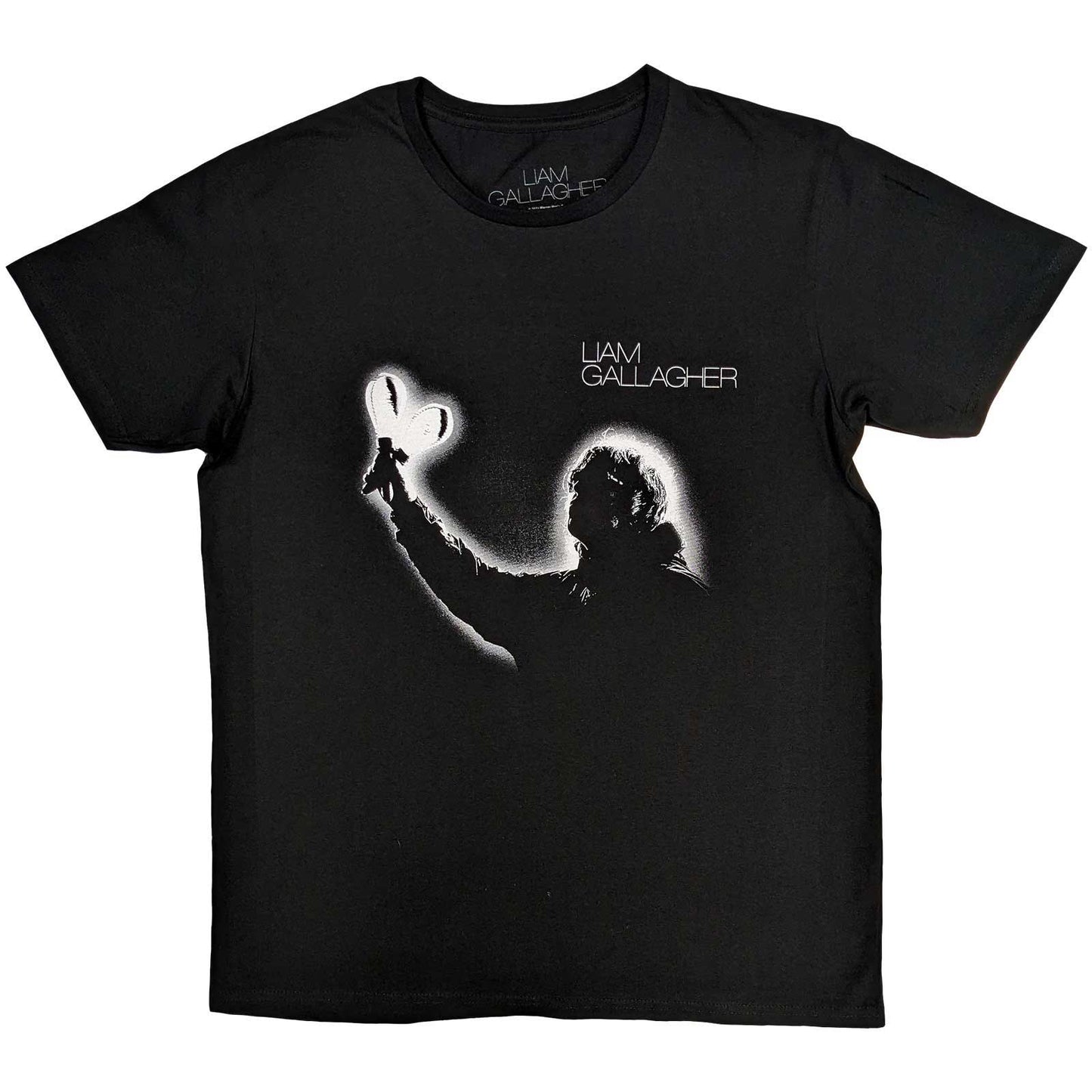 LIAM GALLAGHER Attractive T-Shirt, Everything's Electric