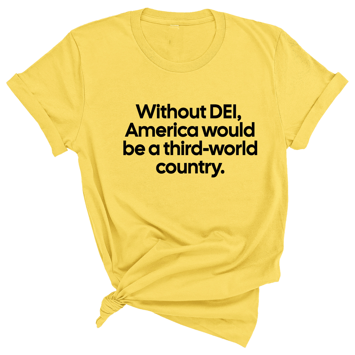 Without DEI, America Would Be a Third-World Country Unisex Tee
