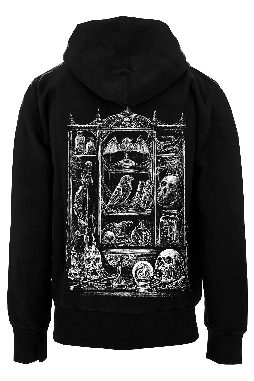 Cabinet of Curiosities Hoodie