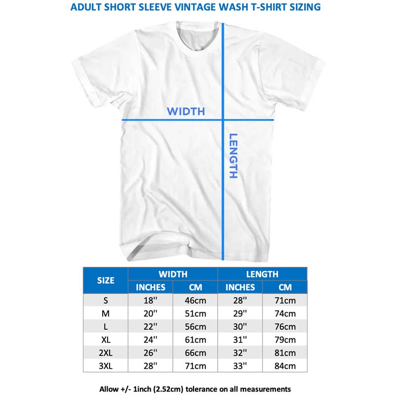 AEROSMITH Vintage Wash T-Shirt, Dream On