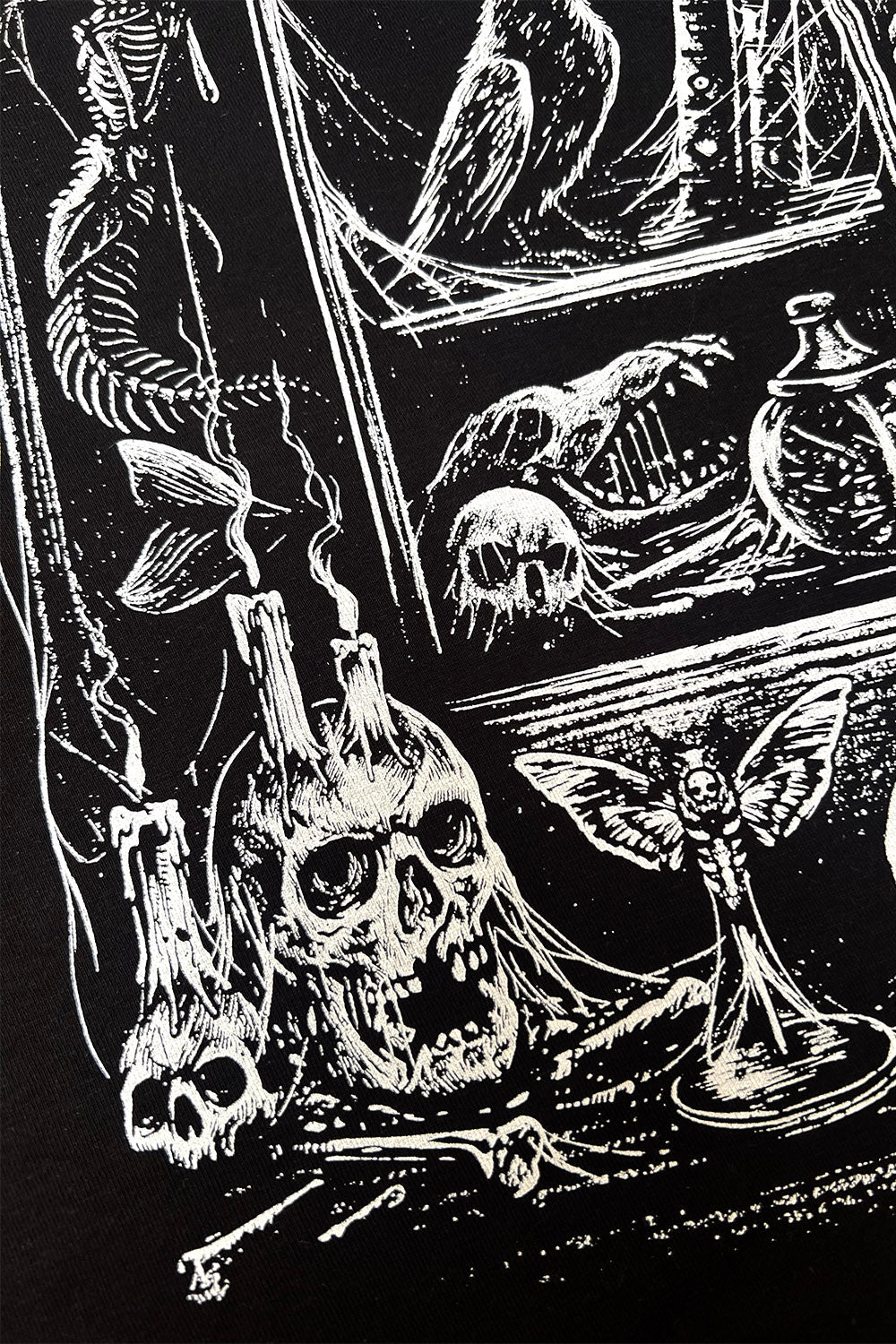 Cabinet of Curiosities Sweatshirt