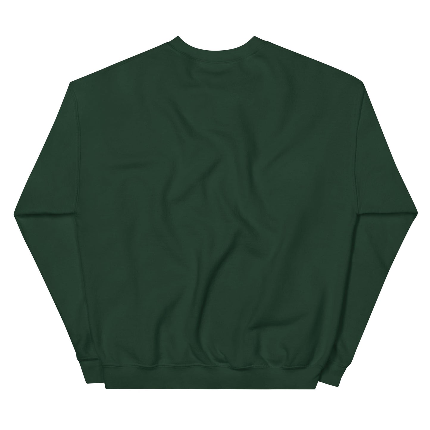 Michigan Embroidered Unisex Sweatshirt