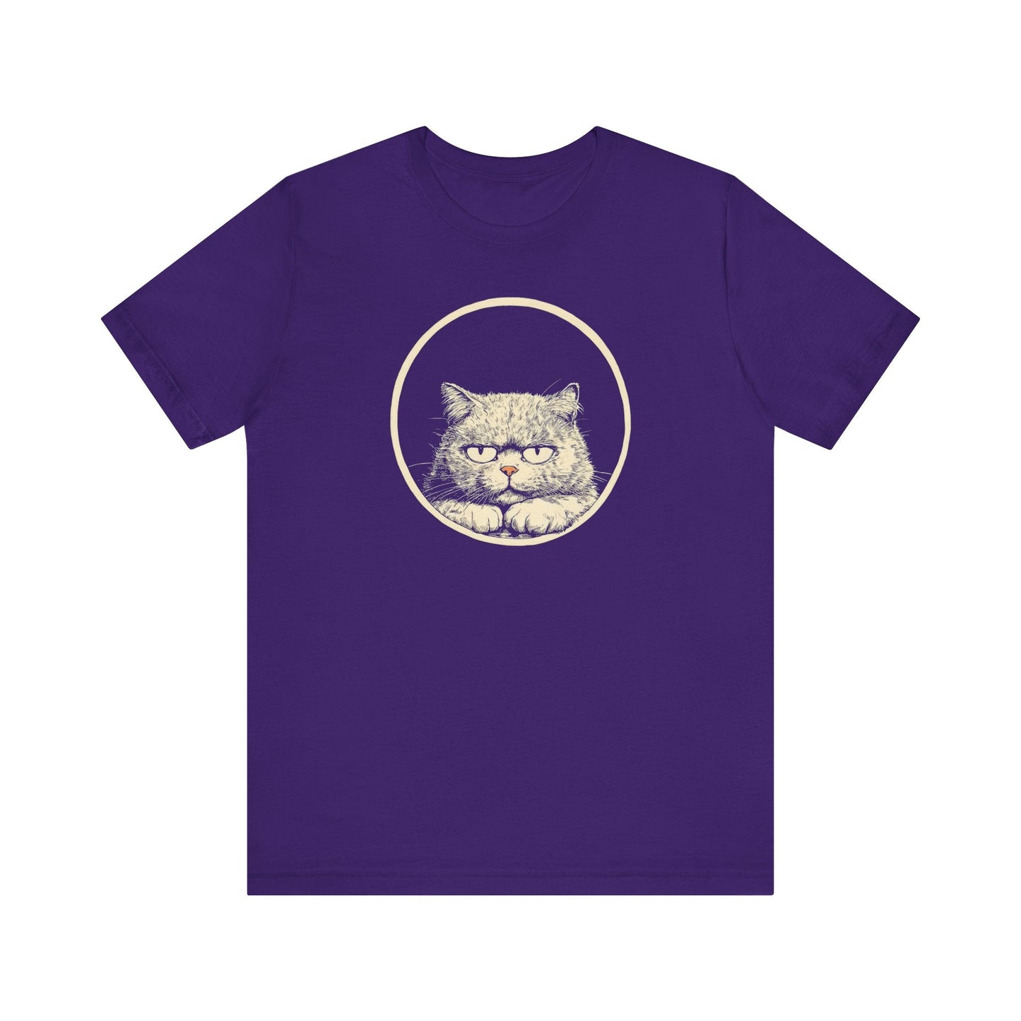 Grumpy Persian Cat Graphic Tee Ã¢â‚¬â€œ Vintage Style Cat Lover Shirt Style001