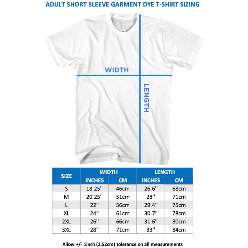 PINK FLOYD Garment Dye T-Shirt, US Tour