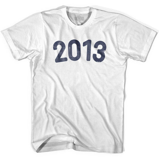 2013 Year Celebration Adult Cotton T-shirt Style004