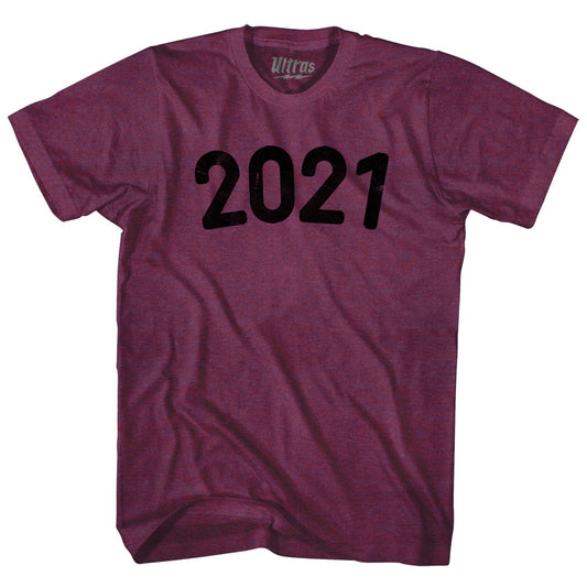2021 Year Celebration Adult Tri-Blend T-shirt Style003