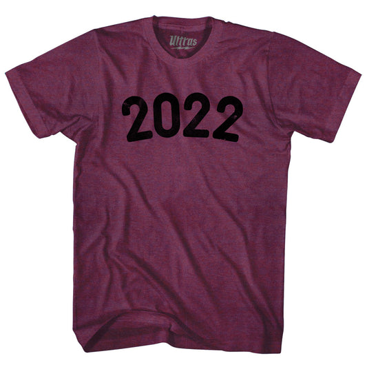2022 Year Celebration Adult Tri-Blend T-shirt Style003