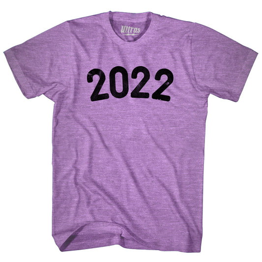 2022 Year Celebration Adult Tri-Blend T-shirt Style006