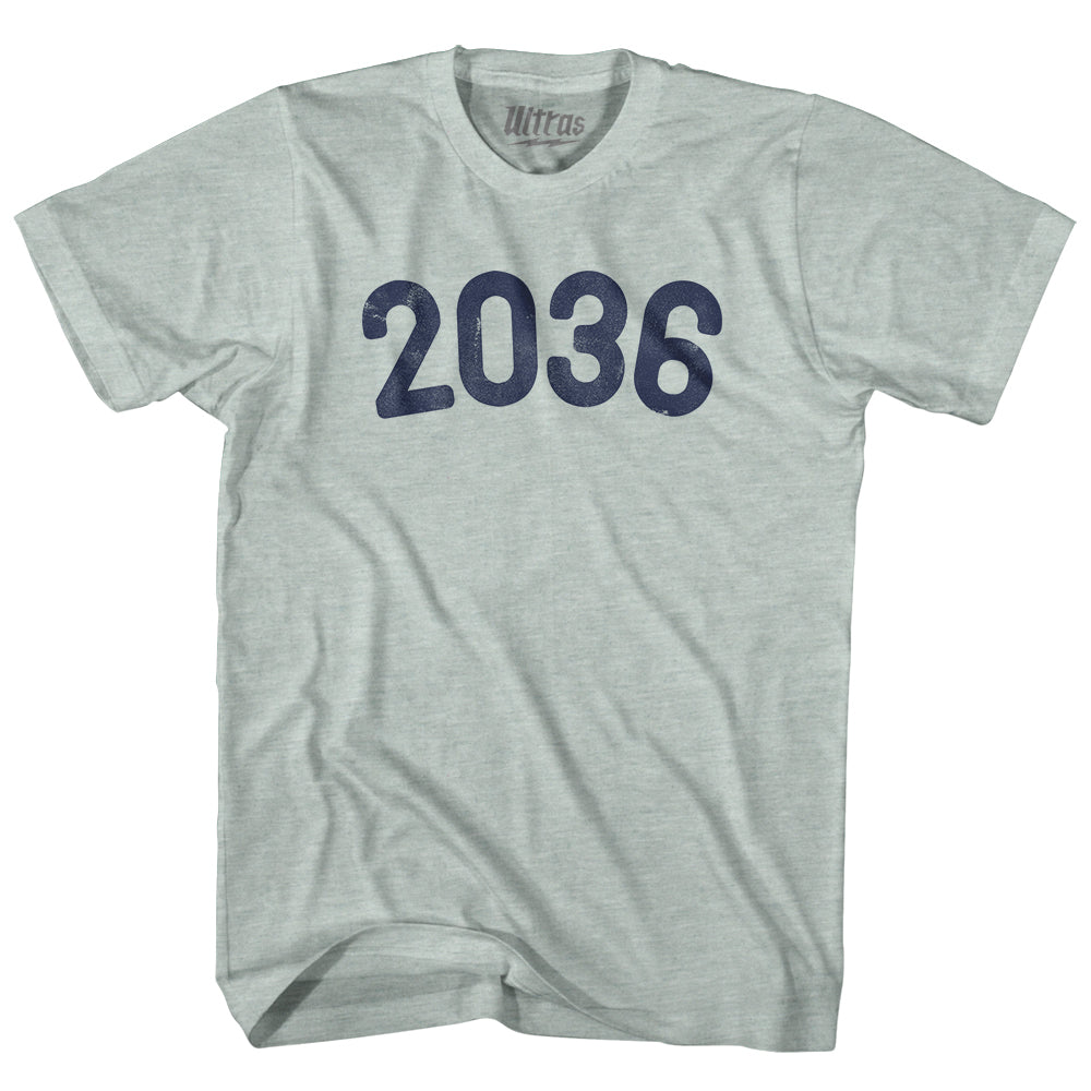 2036 Year Celebration Adult Tri-Blend T-shirt Style004