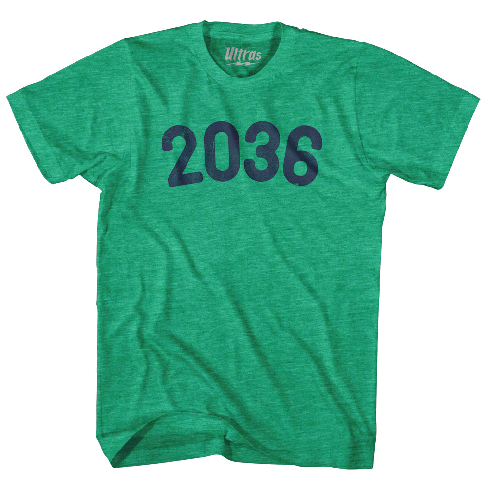 2036 Year Celebration Adult Tri-Blend T-shirt Style001