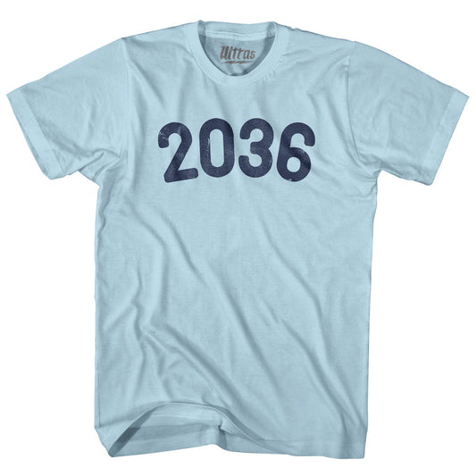 2036 Year Celebration Adult Cotton T-shirt Style003