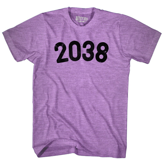 2038 Year Celebration Adult Tri-Blend T-shirt Style006