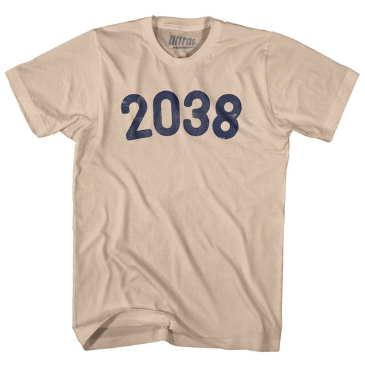 2038 Year Celebration Adult Cotton T-shirt Style001