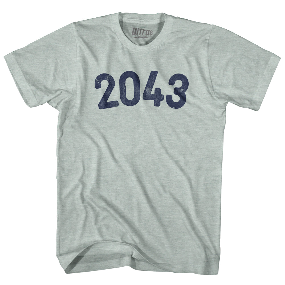 2043 Year Celebration Adult Tri-Blend T-shirt Style004