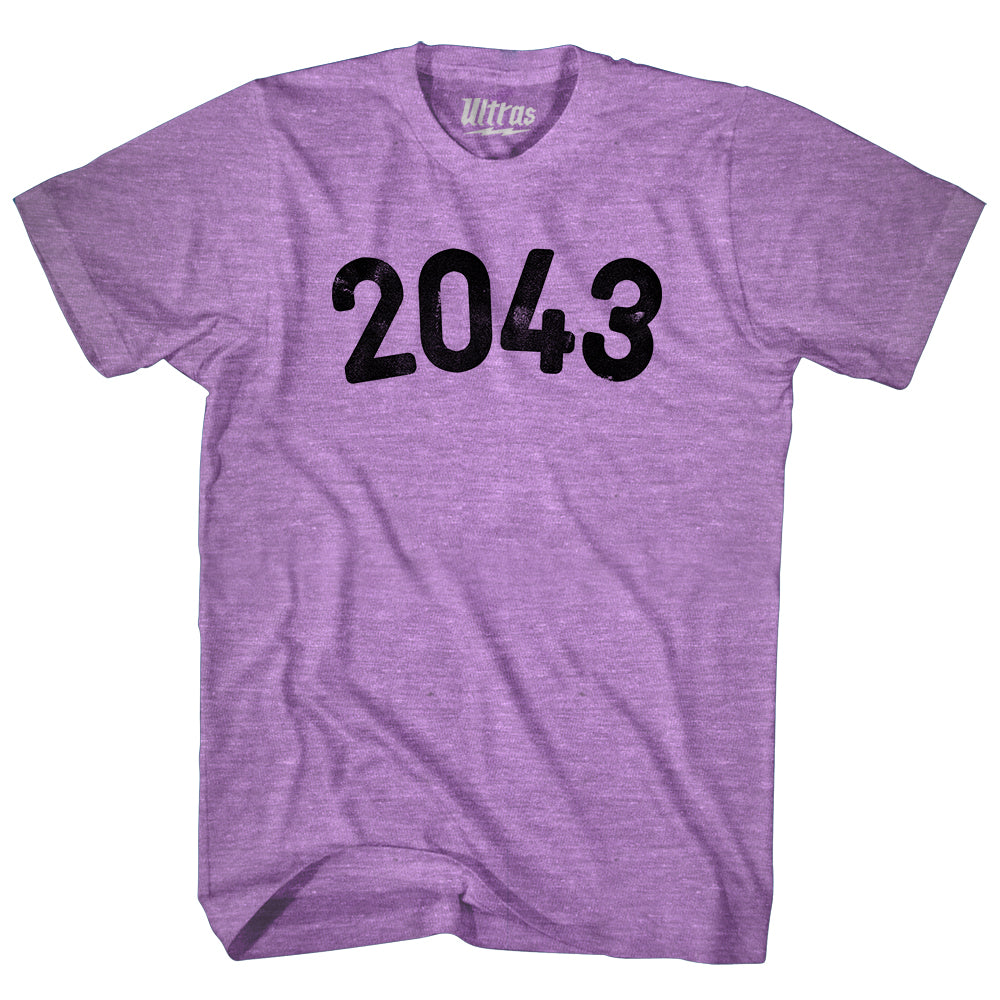 2043 Year Celebration Adult Tri-Blend T-shirt Style006