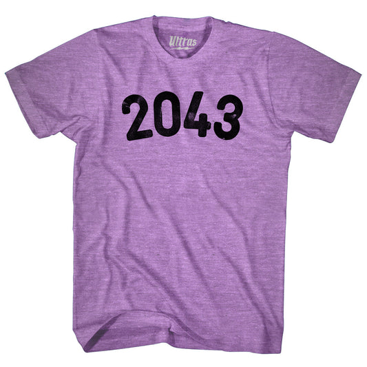 2043 Year Celebration Adult Tri-Blend T-shirt Style006