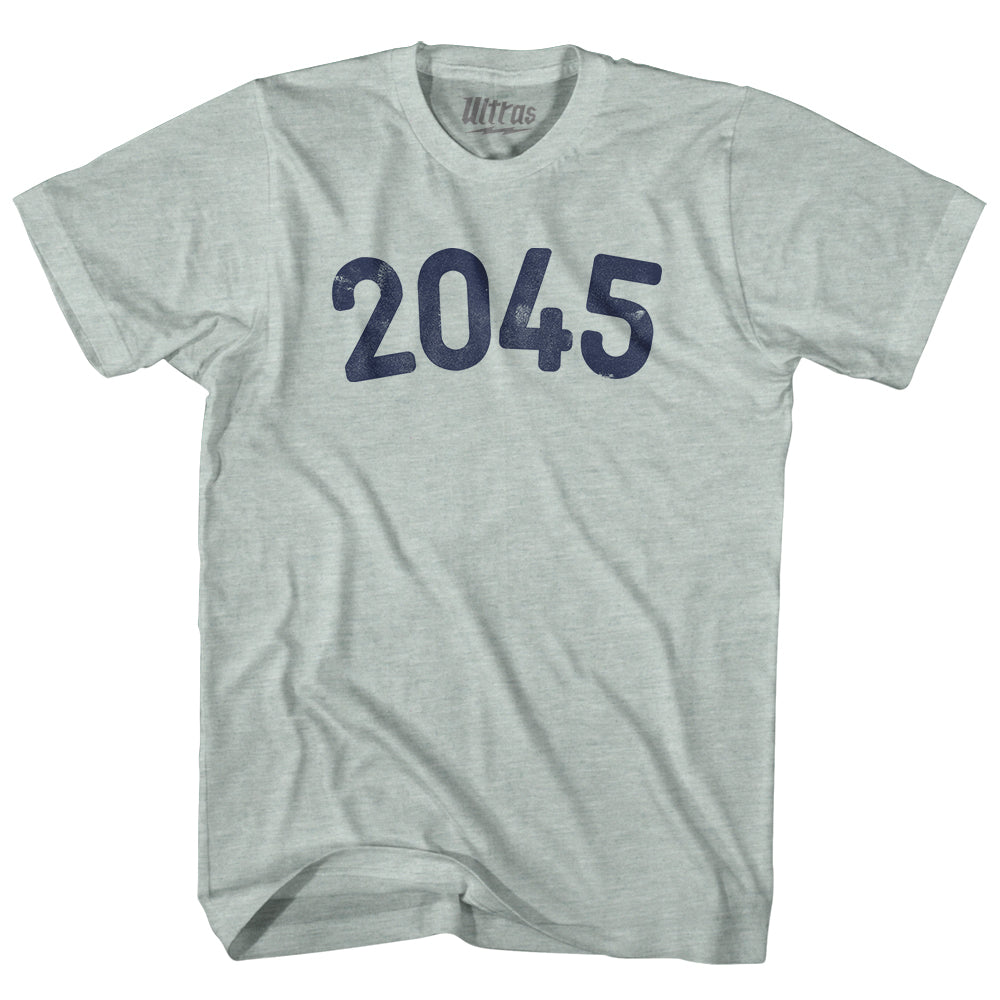 2045 Year Celebration Adult Tri-Blend T-shirt Style005