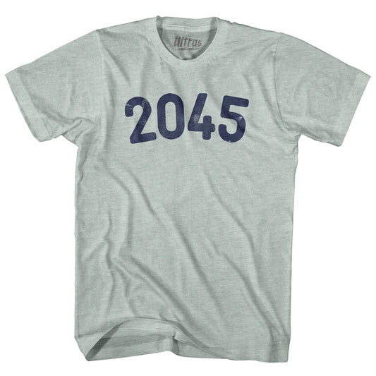 2045 Year Celebration Adult Tri-Blend T-shirt Style005