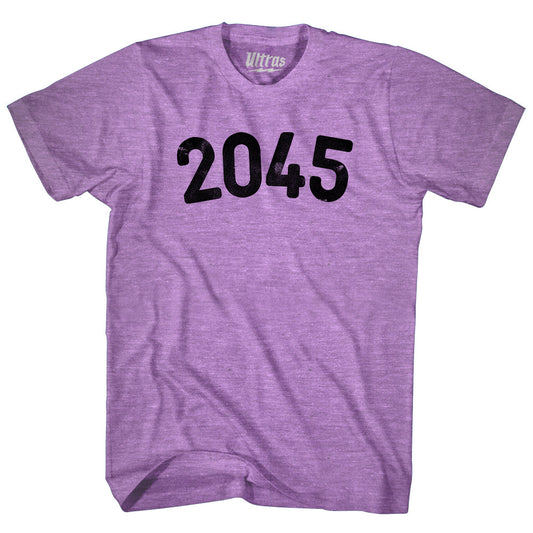2045 Year Celebration Adult Tri-Blend T-shirt Style001