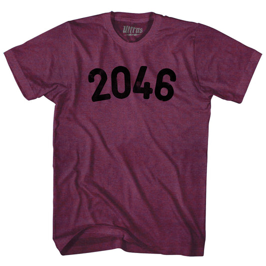 2046 Year Celebration Adult Tri-Blend T-shirt Style003
