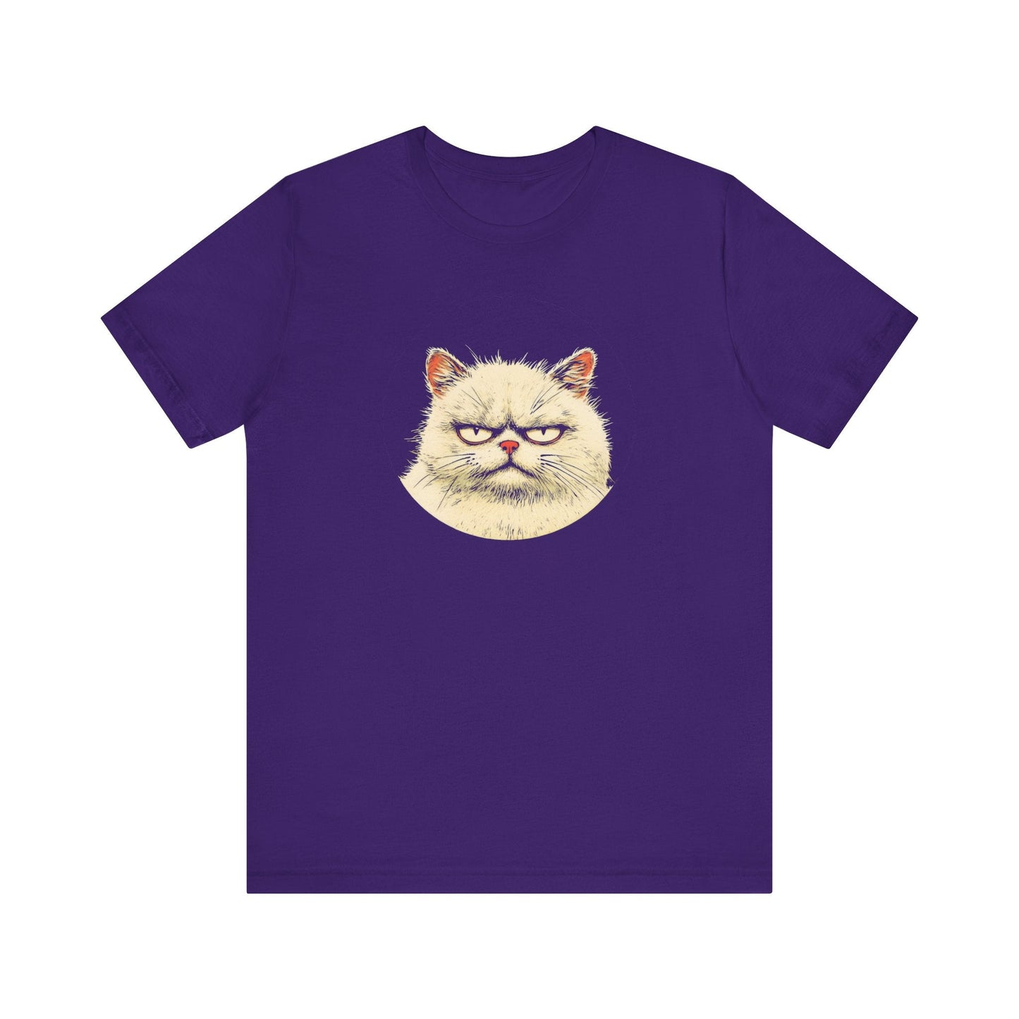 Grumpy Persian Cat Graphic Tee Ã¢â‚¬â€œ Vintage Style Cat Lover Shirt