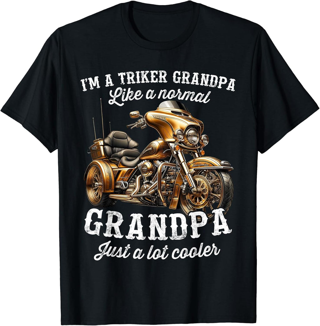 Trike Motorcycle Triker Dad Merch