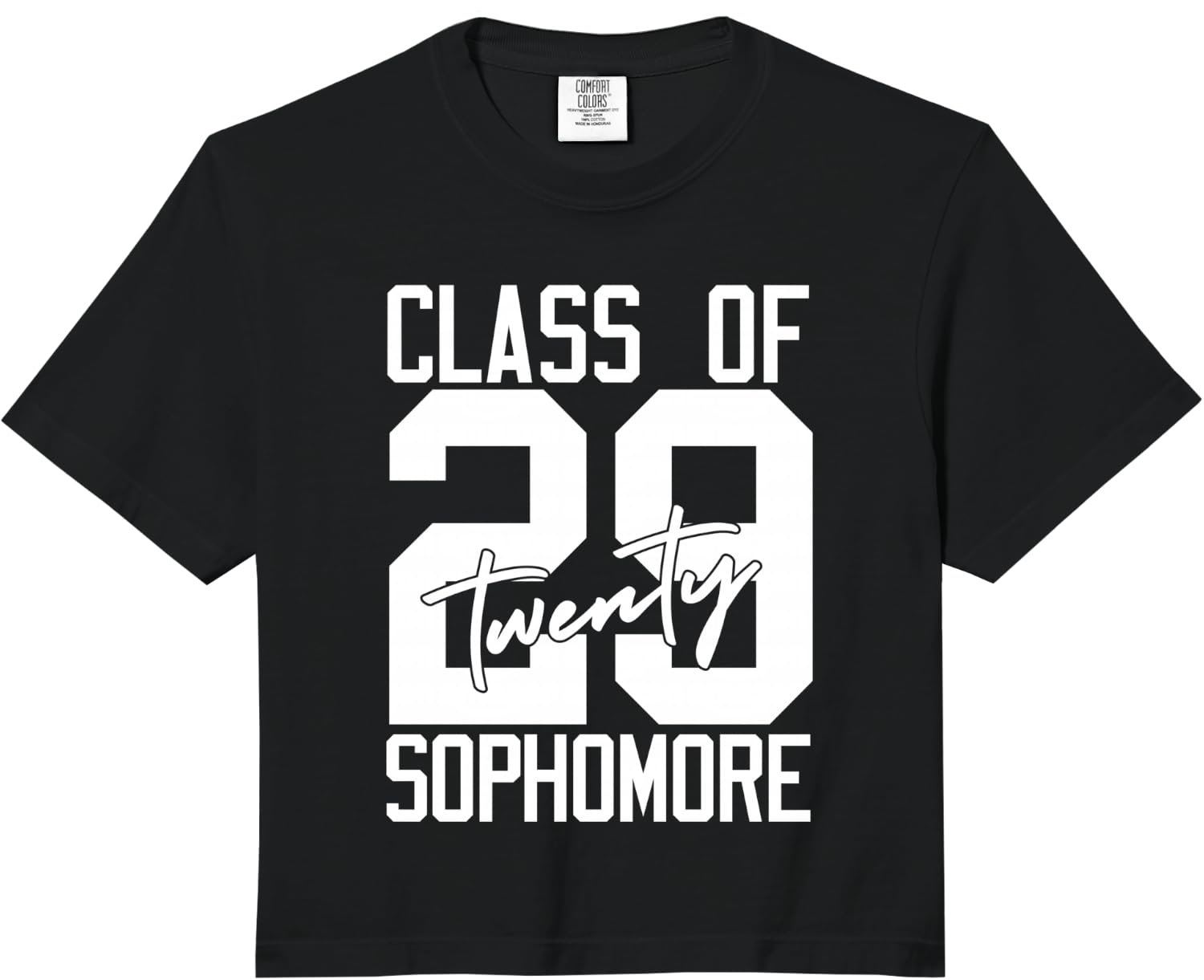 Sophomore Class of 2029 Twenty Nine High School Student Comfort Colors Crop Top