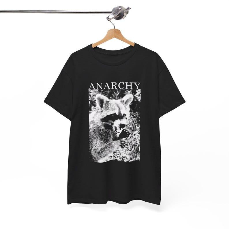Anarchy Funny Raccoon T-Shirt, Meme Graphic Tee, Meme Raccoon Sweater, Meme Raccoon Gift Top Hoodie, Sweatshirt