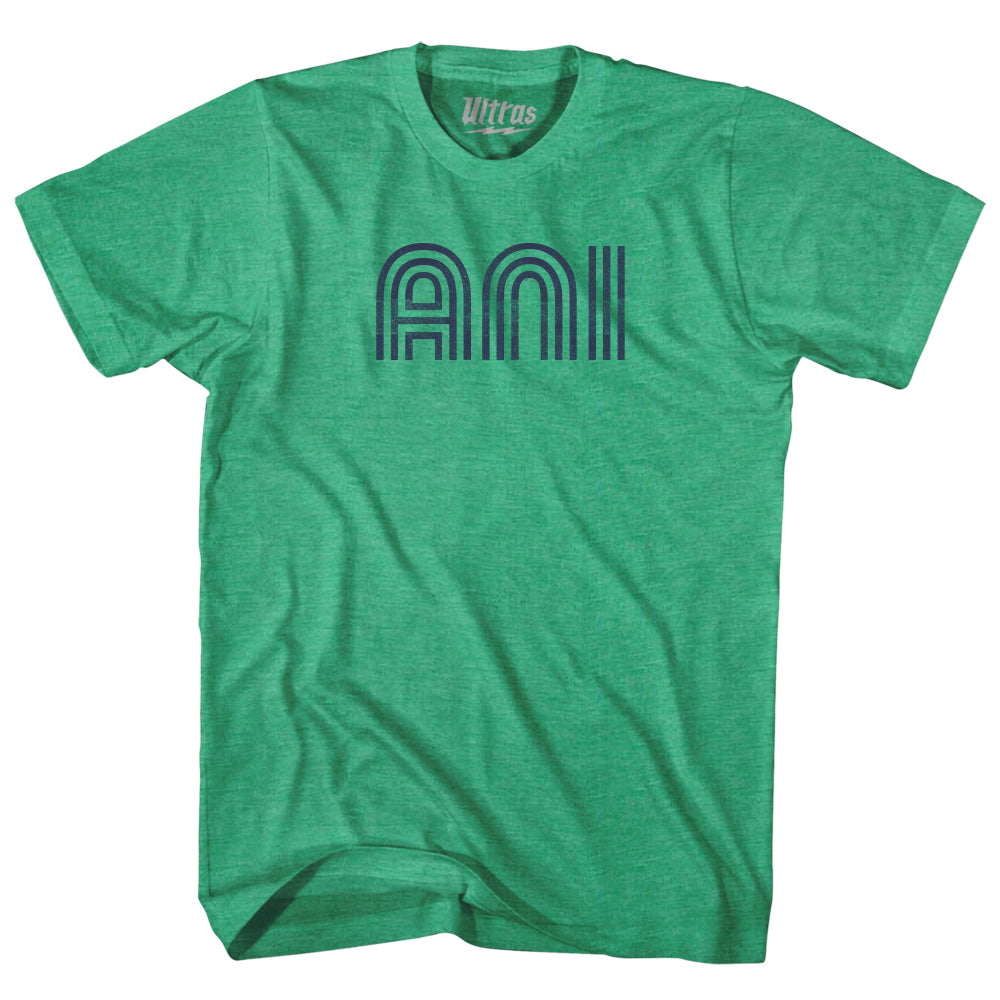 Aniak ANI Airport Adult Tri-Blend T-shirt Style002