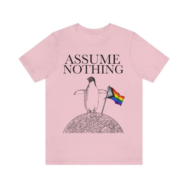 Assume nothing shirt | progress pride flag shirt | subtle lgbt t-shirt | lgbtq pride | gay pride tee | queer pride |...