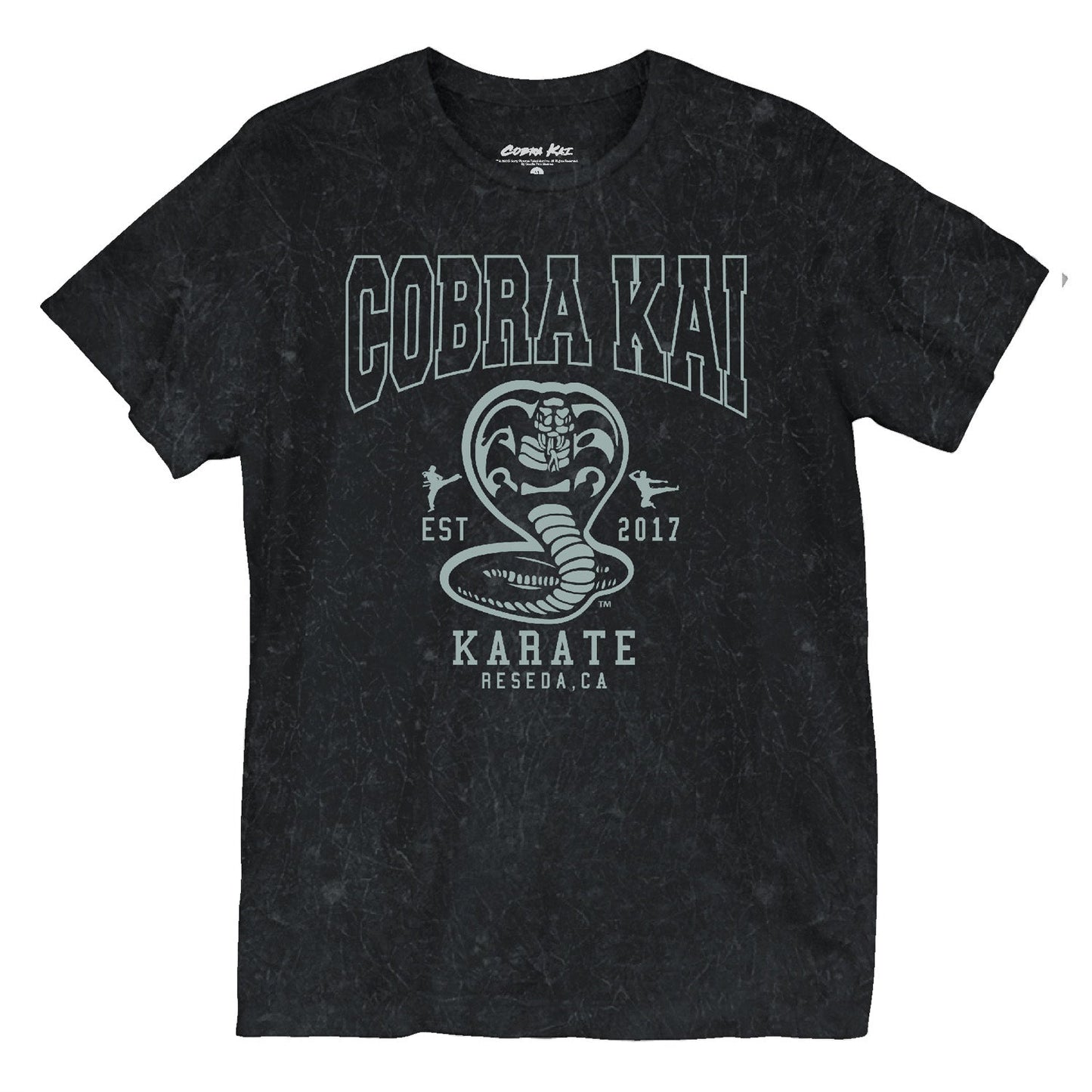 COBRA KAI Unisex T-Shirt, Est 2017