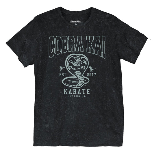 COBRA KAI Unisex T-Shirt, Est 2017