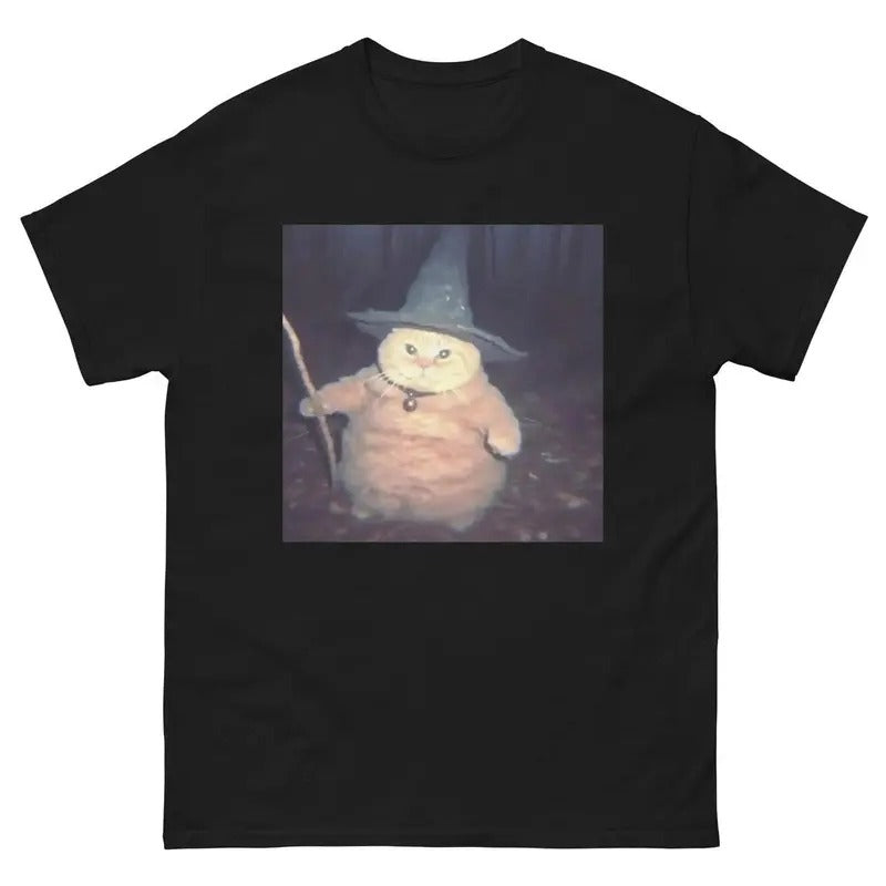 Cheeseball the Wizard Cat T-Shirt, Funny Quote Shirt, Sarcasm Shirt, Trendy Shirt Hoodie, Sweatshirt | UrbanDripWear.com