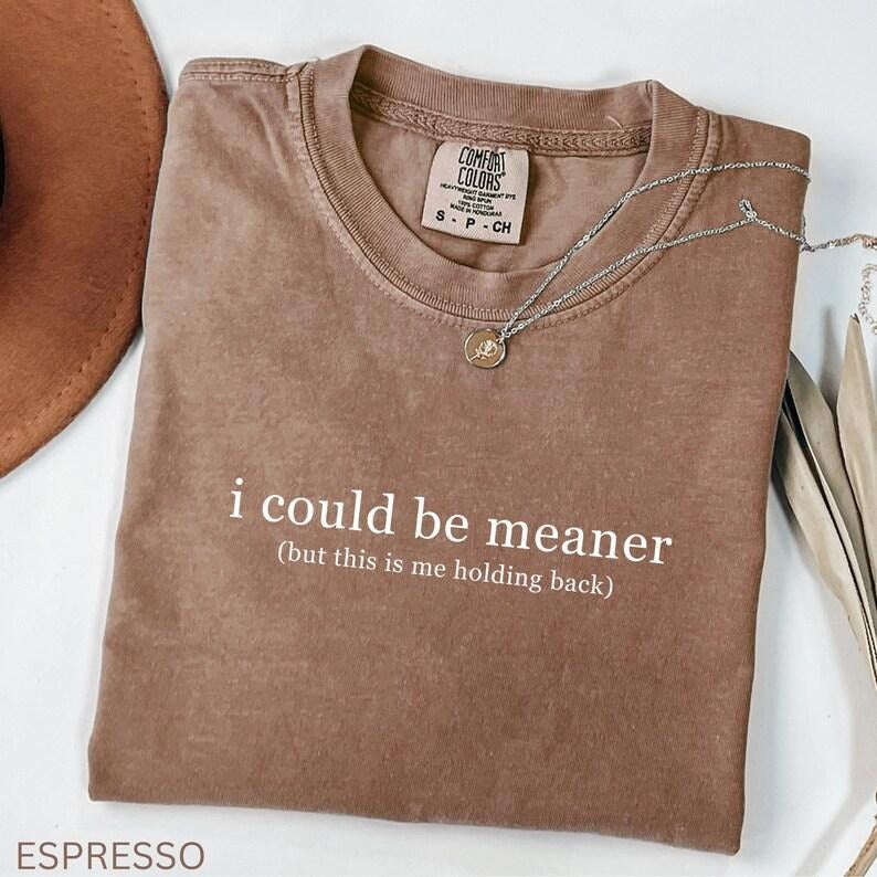 Comfort Color I Could Be Meaner Shirt, Funny Sarcastic Tee, Unhinged Humor Tee, Dark Humor Shirt, Women Sarcasm Shirt,...