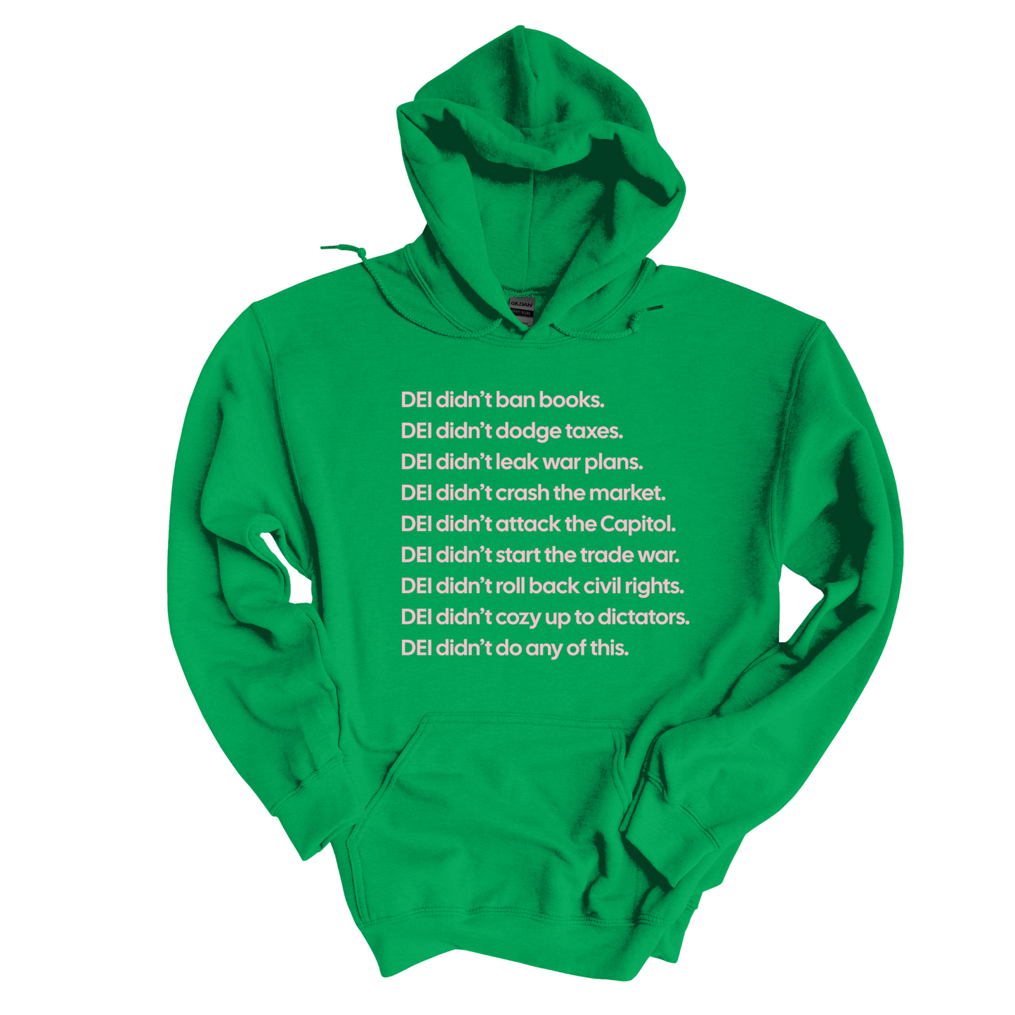 DEI DidnÃ¢â‚¬â„¢t Do Any of This Unisex Hoodie