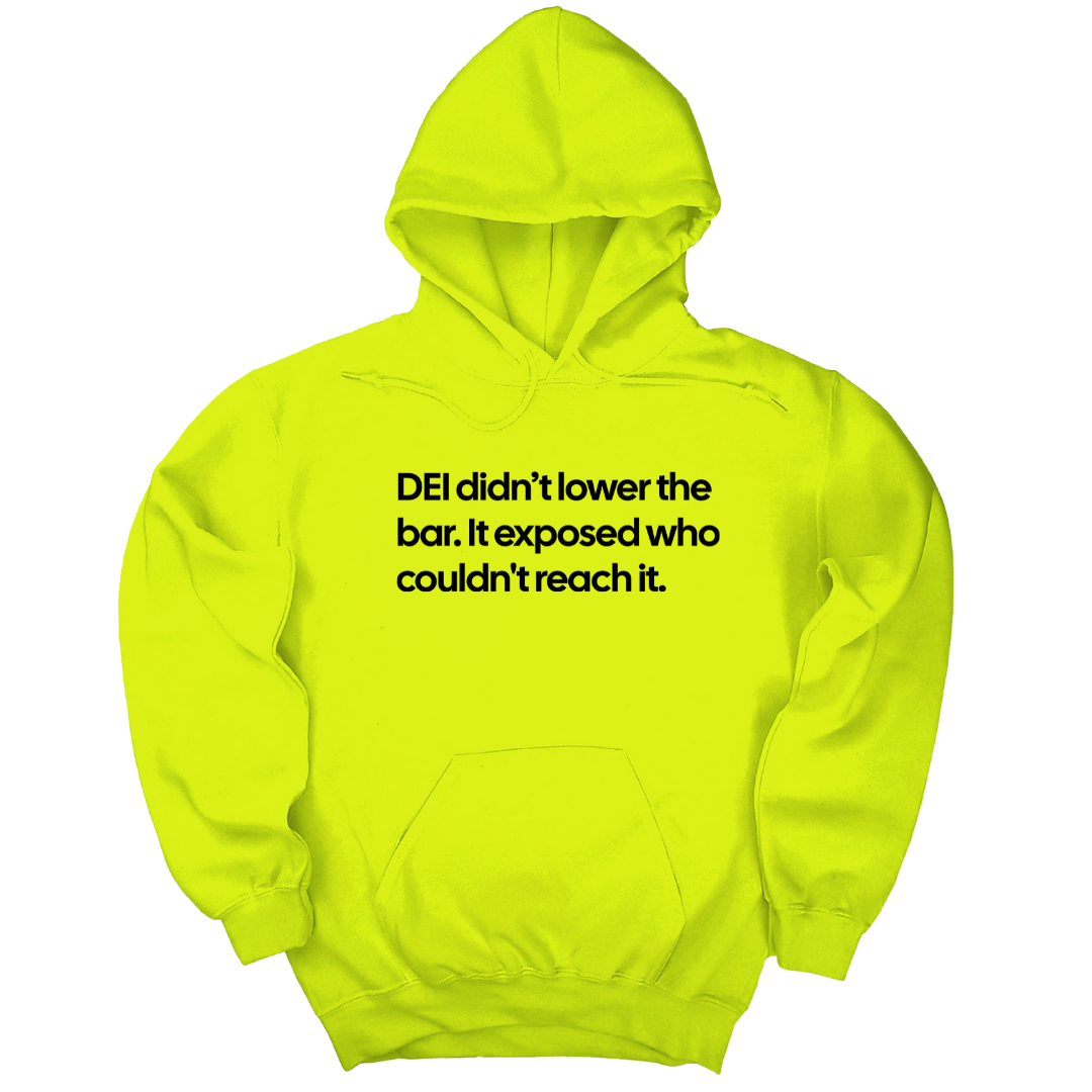 DEI Didn't Lower the Bar Unisex Hoodie