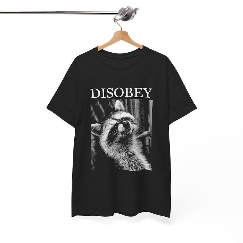 Disobey Raccoon T-Shirt, Meme Graphic Tee, Meme Raccoon Sweater, Meme Raccoon Gift Hoodie, Sweatshirt | UrbanDripWear.com