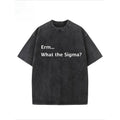 "Erm...What The Sigma?" Creative Pattern Printing Heavy 230g Pure Cotton Oversized Drop Shoulder T-shirt Washed T-shirt Retro Street T-shirt Basic T-shirt Loose Hip-hop Unisex Top Acid Wash T-shirt style 02