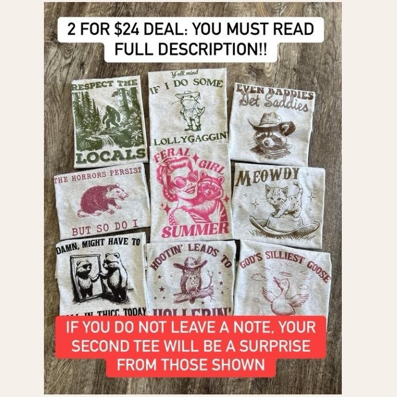 FUNNY SHIRTS VERSION 2 - 2 for 24 - Graphic Tee Bundle - Choose Your Designs- LEAVE DESIGN  CHOICE AT CHECKOUT