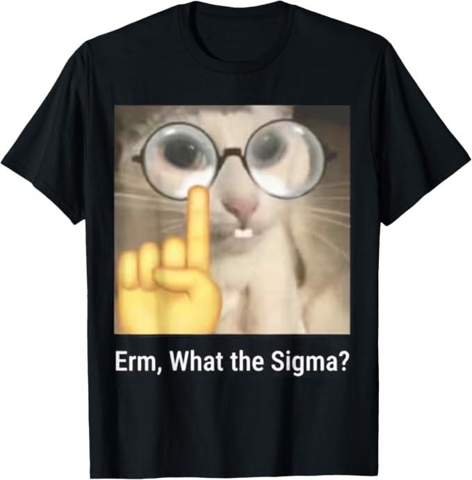 Funny Cat Shirts, Erm, What the Sigma Cat Meme Funny T-Shirt - Menswear Top Hoodie, Sweatshirt | UrbanDripWear.com