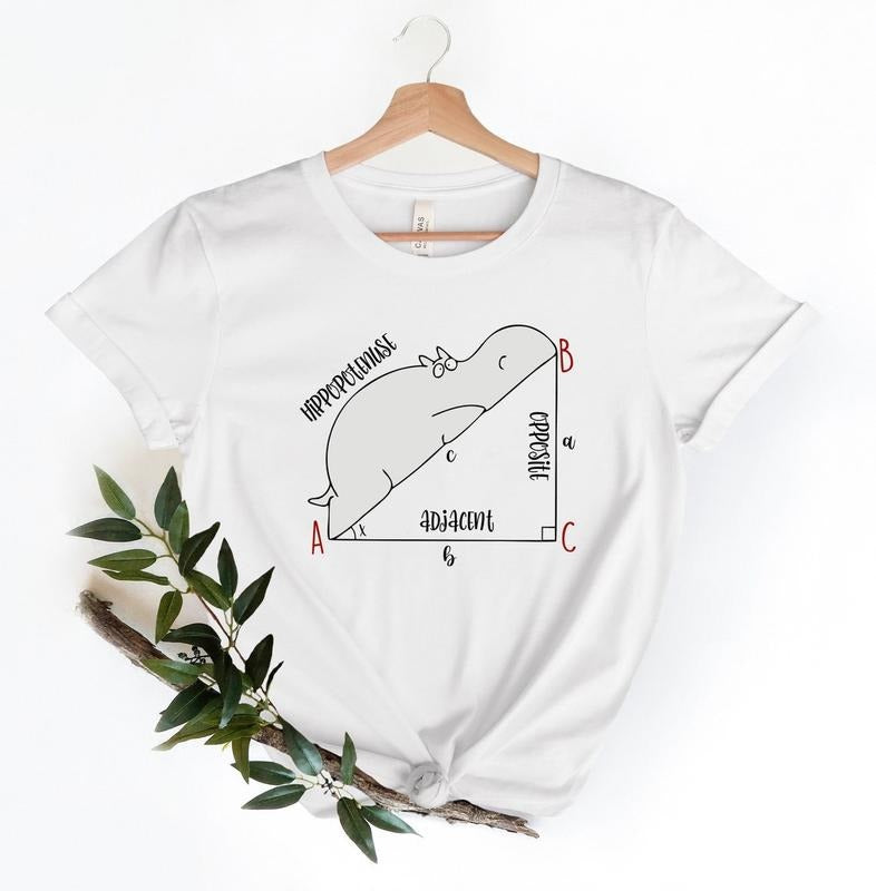 Funny Math T Shirt, Funny Hippopotenuse Shirt, Math Teachers Shirt, Back To School Tshirt Hoodie, Sweatshirt