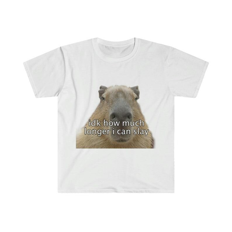 Funny Meme Shirt, Capybara "idk how much longer i can slay" Tee, Gift Unisex T-Shirt Hoodie, Sweatshirt | UrbanDripWear.com