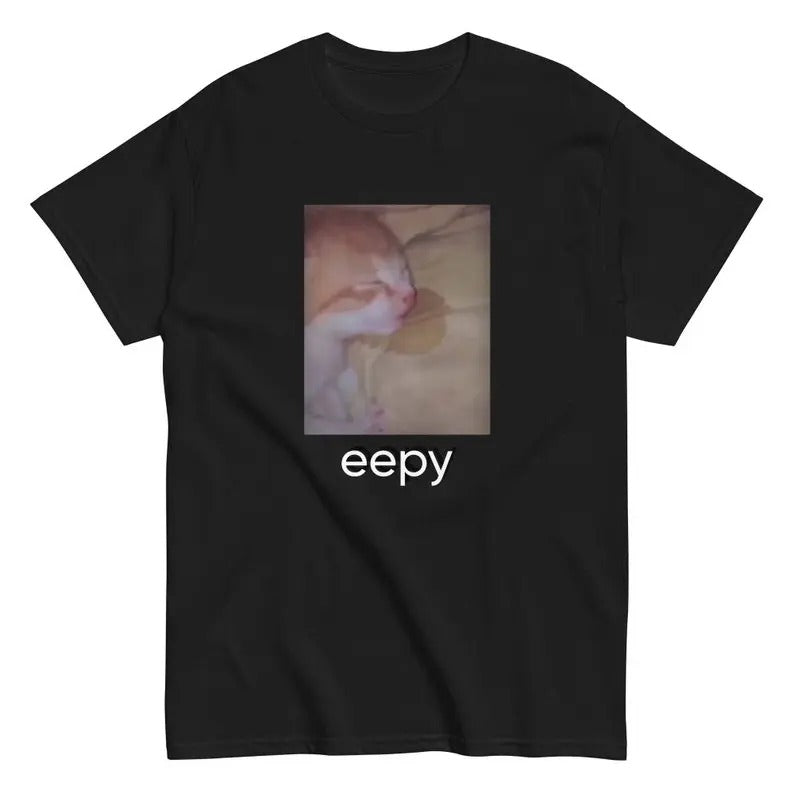 Funny Meme Shirt, Eepy Cat Tee, Gift Unisex T-Shirt Hoodie, Sweatshirt | UrbanDripWear.com