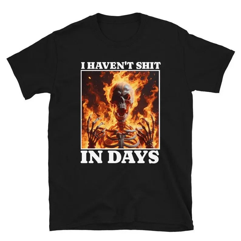 Funny Meme Shirt, I Haven't Shit in Days Tee, Gift Unisex T-Shirt Hoodie, Sweatshirt | UrbanDripWear.com